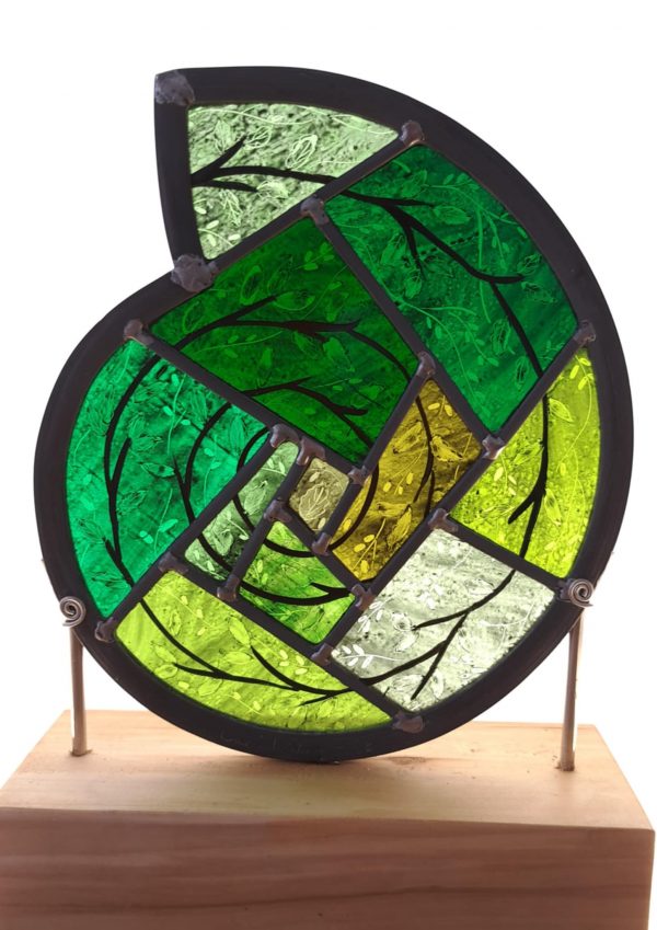 Timber mounted hand painted Ammonite - Emerald Spiral - Image 6