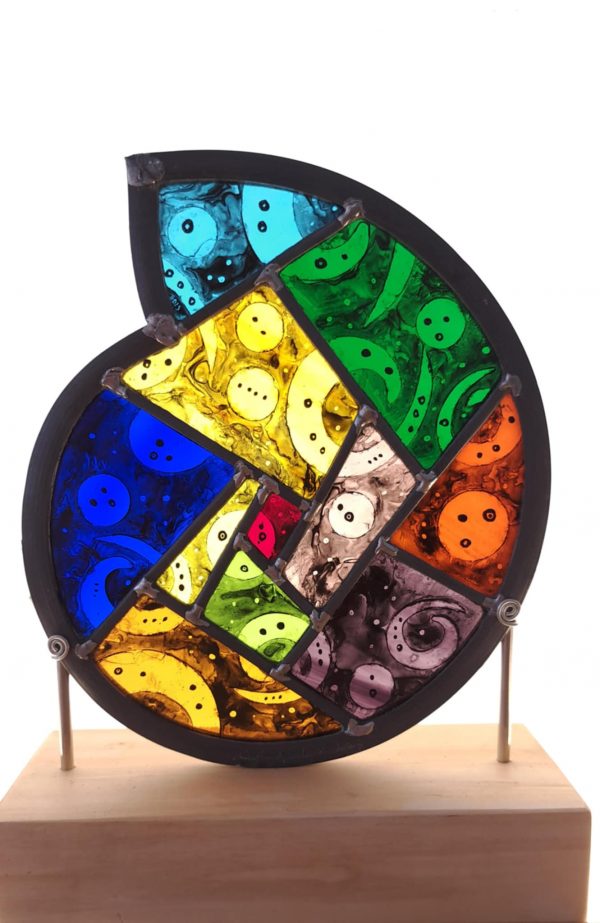 Timber mounted hand painted Ammonite - Seeing Spots - Image 4